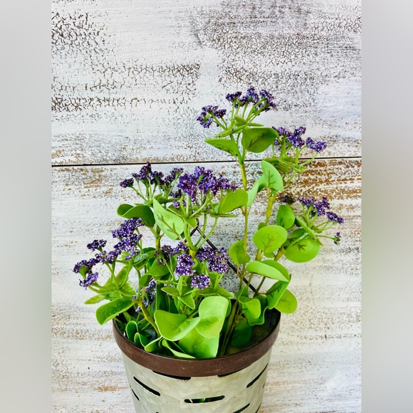 *Queen Ann’s Lace Spray, Purple - Picture 8 of 13